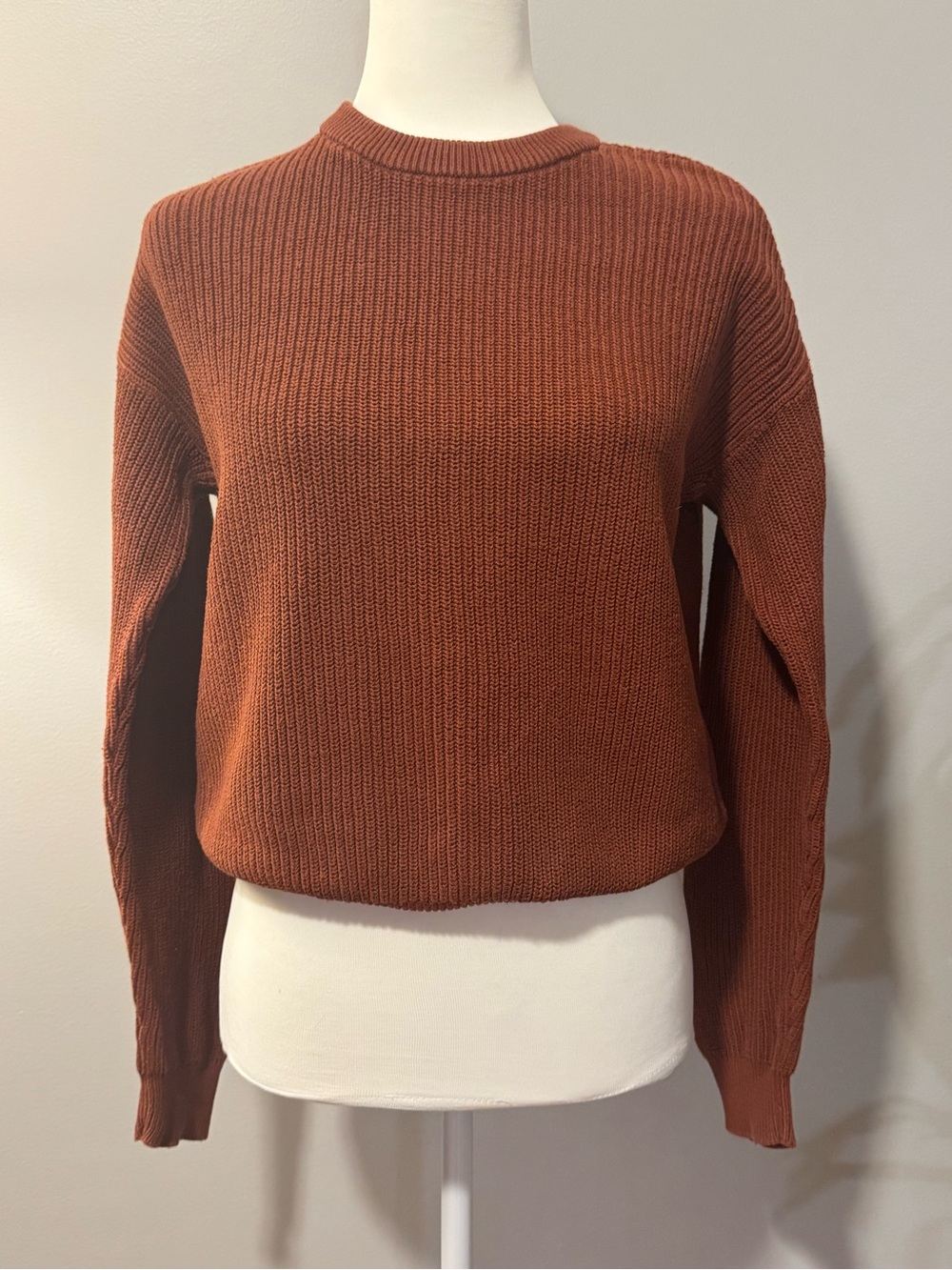 Gap kids ( 14/16 XXL ) or Women’s S Rust Crewneck Knit Sweater - Stretchy